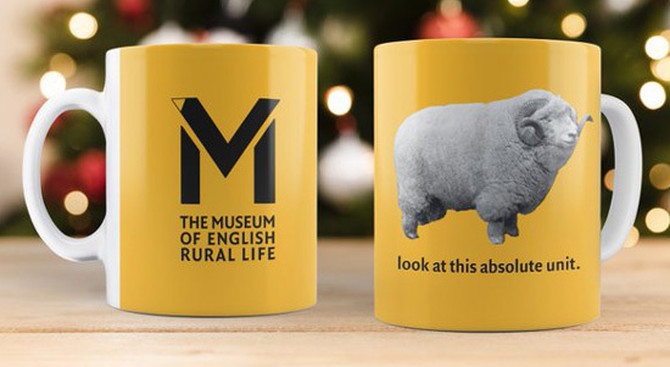 Photo of a yellow mug. One one side is the MERL (Musuem of English Rural Life) logo. On the other a photo of a very large looking sheep and text reading: "look at this absolute unit."