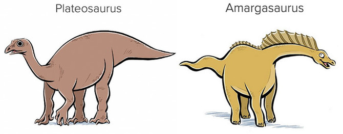 Two basic, almost comic, drawings of dinosaurs. The Plateosaurus is brown, with a bird-like head and neck, heavily-clawed feet, and a bulky tail. The Amargasaurus is yellow-ish with a small head and long neck adorned with a crest, short legs, and a short but wavy tail.