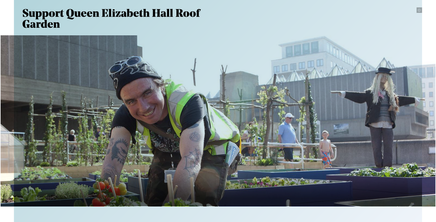 "Support Queen Elizabeth Hall Roof Garden", with an image of someone planting in a plastic container and smiling to camera